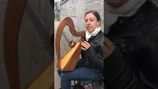 Irish Harp Street Musician in Cork