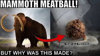 Incredible Advances in Artificial Meat Technologies: Mammoth Meatball