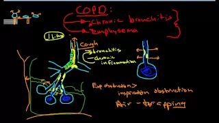 Pathophysiology of COPD