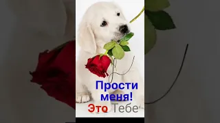 Прости меня за всё прощёное воскресенье #shors