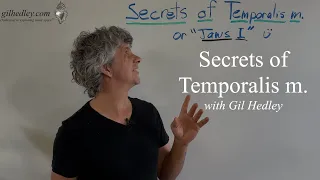 Secrets of Temporalis m.:Learn Integral Anatomy with Gil Hedley