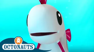 @Octonauts -  🍥 The Oarfish 🐉 | Season 1 | Full Episodes | Cartoons for Kids