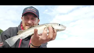 Anyfish Anywhere Bass Pro Review  by Angling Ambition