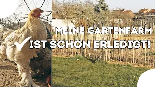 Gartenaufgaben im März 👩‍🌾 Das solltest du erledigen 👩‍🌾 Ein Rundgang durch meinen Garten