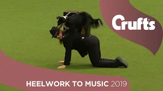 Freestyle Heelwork to Music Competition - Part 1 | Crufts 2019