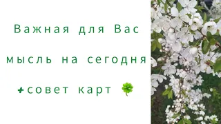 что Вам срочно надо знать. что важное надо услышать.