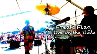 Freak Flag play ZZ Top - Live on the Stade, Hastings Tribute to Dusty Hill.