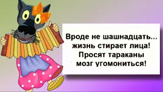 ✔️Хотел взяться за ум, но оказалось, что слишком поздно. Ум успел одичать и в руки не даётся