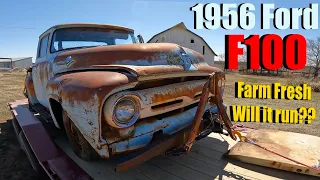 We rescued a 1956 Ford F-100 straight off a Kansas ranch! Will it run again?