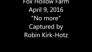 Fox Hollow Farm 4 9 16 No more
