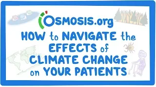 Clinician's Corner: How to navigate the effects of climate change on your patients