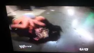 wwe AJ Lee and Kaitlyn brawl backstage