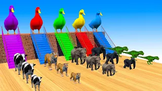 5 Giant Duck Cartoon,Tiger,Cow,rabbit,Gorilla,Dog,Cat,Dinosaur Wild Animals Crossing Fountain 2023