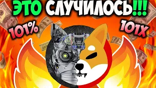 Создатель Shiba Inu Начинает Тотальное Сжигание - Ожидаем Рост SHIB