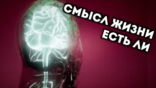 Есть ли смысл жизни для мозга