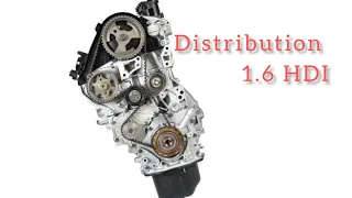 changement courroie de distribution moteur 1.6 HDI ( Peugeot Citroën )