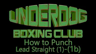 Boxing Lesson 03.01 - Lead Straight (1)-(1b).