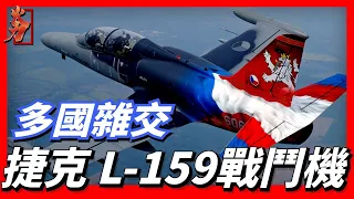 L-159輕型戰鬥機，多國混血，出身豪門，換裝了F124渦輪扇發動機，機頭安裝義大利的多功能脈衝多普頓雷達、裝有“天衛200”雷達告警系統