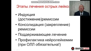 Острый лейкоз взрослых  Диагностика и лечение  Част 3