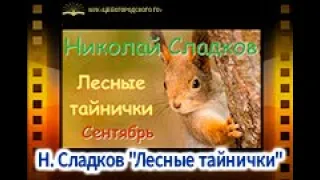 Н. Сладков "Лесные тайнички". "Сентябрь", часть 1.