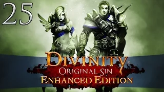 Let's Play ► Divinity: Original Sin Enhanced Edition Co-Op - Part 25 - Pirate's Office