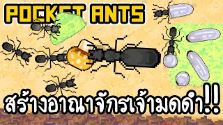 Pocket Ants #1 - สร้างอาณาจักรเจ้ามดดำ!! [ เกมส์มือถือ ]