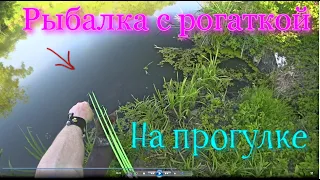 Рыбалка с рогаткой. Карасевич (Fishing with a slingshot)