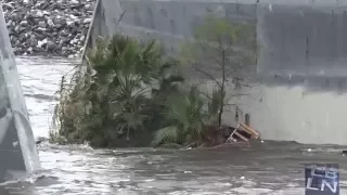 Long Beach Fire Department Rescue Woman From LA River