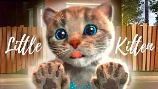 FUNNY CATS CUTE LITTLE KITTEN ADVENTURE - ANIMATED CARTOON FOR KIDS EDUCATIONAL ADVENTUROUS JOURNEY