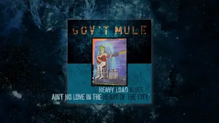 Gov't Mule - Ain’t No Love In The Heart Of The City (Visualizer Video)
