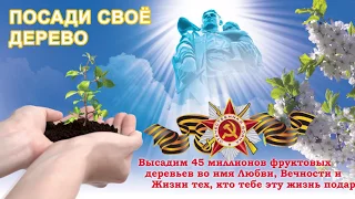 9 мая 2024 День Победы! ПРИСОЕДИНЯЙСЯ к всенародной акции по всем городам России