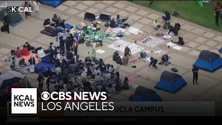 Pro-Palestine protesters at UCLA campus