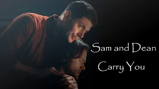 Sam and Dean - Carry You (Song/Video Request) [Angeldove]