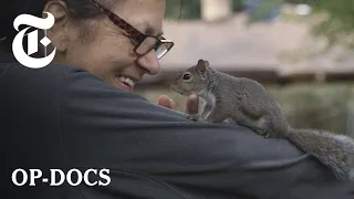 My Mom Has Two Sons: Me and a Squirrel | My Duduś | Op-Docs