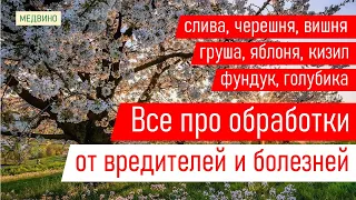 Секреты обработок слив, груши, яблони, черешни: 3-я и последующие обработки