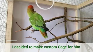 How to build Glass Cage with wooden Frame for your Parrot - DIY Cage