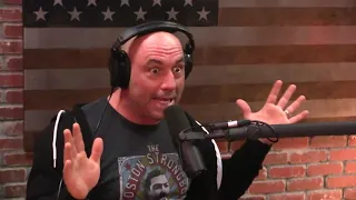 Reality is Psychedelic - Joe Rogan and Duncan Trussell