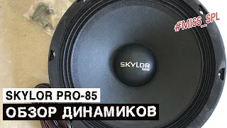 Динамики SKYLOR PRO-85 - обзор и прослушка - #miss_spl