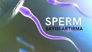 Sperm Sayısı Artırmak İçin Ne Yapmalı?