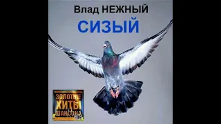 Владимир Нежный (Благовест) - Тридцать первый день