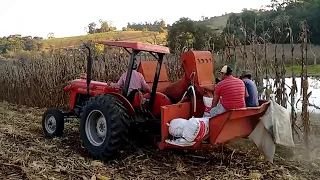 50x MASSEY FERGUSON - COLHEITADEIRA - PENHA