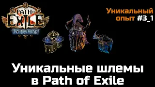 Все уникальные шлемы в Path of Exile | Часть 1