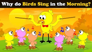 Why do Birds Chirp in the Morning? + more videos | #aumsum #kids #science #education #whatif