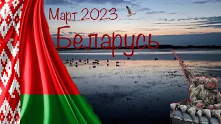 «Машина времени»   или как мы начали охоту на гуся раньше на несколько недель.