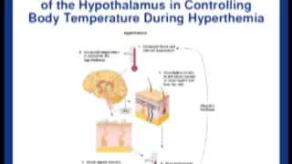 Exercise in Hot and Cold Environments