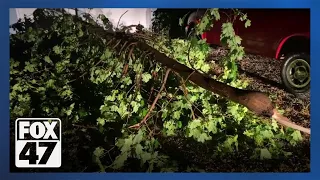 Tornado runs through Perry, Michigan