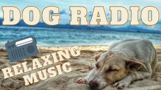 DOG RADIO - Relaxing music for dogs to sleep, Your dog will fall asleep to this music. #dogradio