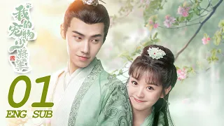 ENG SUB [Be My Cat] EP01 | Fantasy Romance | Kevin Xiao,Tian Xi Wei