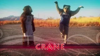 Jazz Bear versus Crunch the Wolf