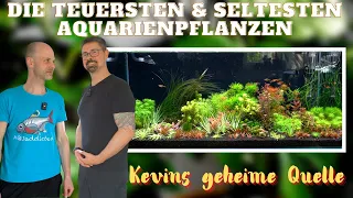 Teures Hobby - Seltene Aquarienpflanzen sammeln | AQUAddicted! Unterwegs bei Raritätensammler Frank